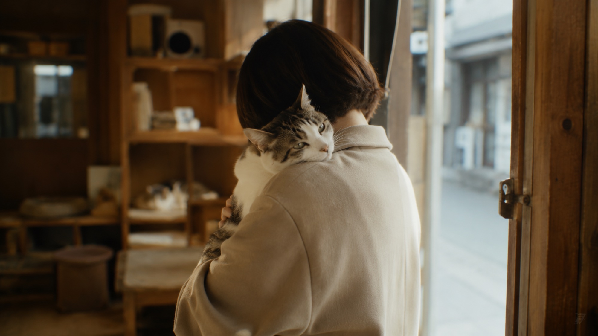 新しい家族に抱かれ、cozyを巣立っていく猫